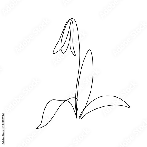 Beautiful spring trout lily flower in continuous line art drawing style. Minimalist black linear sketch isolated on white background. Vector illustration