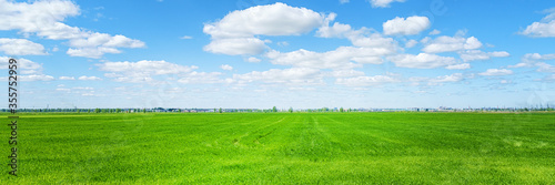 Green field and city on the horizon at sunny day panoramic wide angle view
