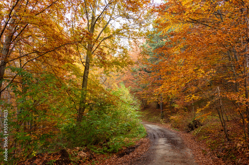 Autumn in Rhodopy Mountain Bulgaria  © Dimitar Georgiev