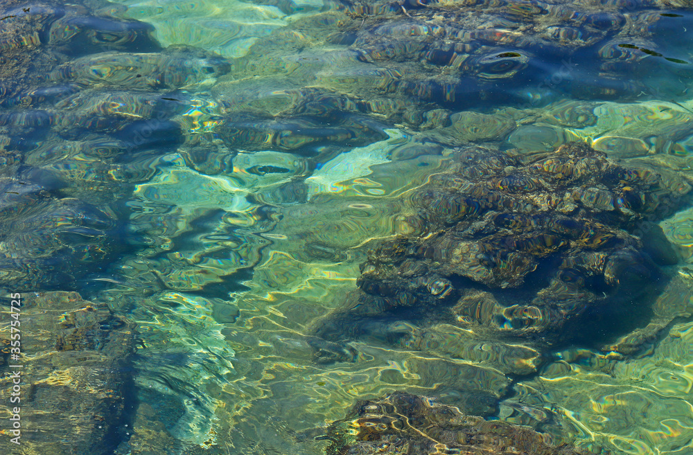 Fototapeta premium Natural background with rocky seabed under clear turquoise water