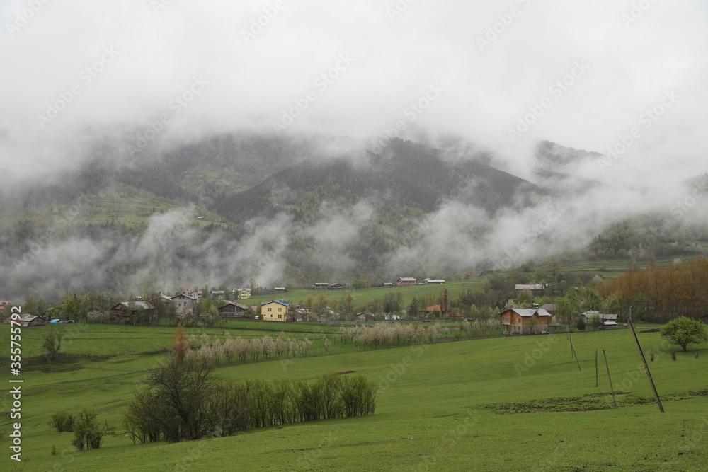 Village thailand with foggy landscape mountains misty forest with tree and house in the moring winter nature / View of foggy house on hill countryside