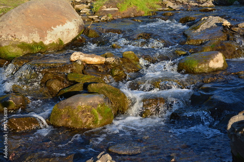 stream in the forest