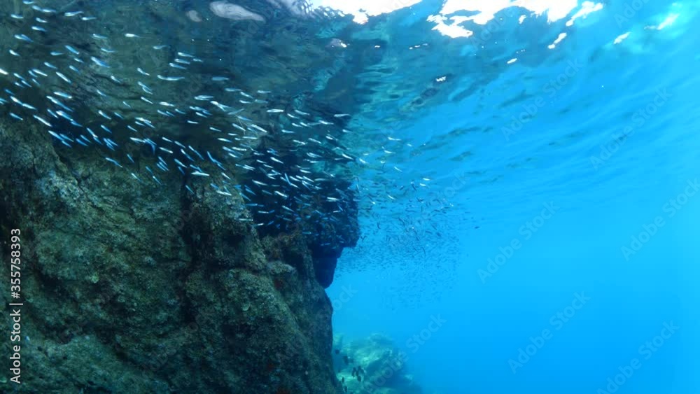 sun rays sun beam sun shine underwater fish around waves on rocks white foam slow relaxing ocean scenery sun rays sun beam sun shine underwater fish around waves on rocks white foam slow relaxing ocean scenery