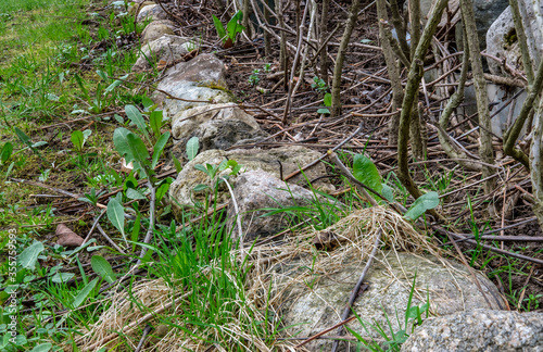 Small stones going into the distance, with which a flowerbed with shrubs is fenced.