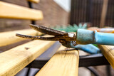 Old slightly rusty garden shears (secateurs) with a light blue handle lie on a garden bench on a garden plot.