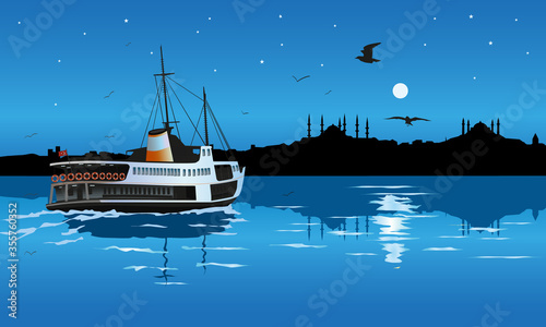 Silhouette of istanbul in the moonlight. Traditional passenger ship in the boshorus. seagulls Blue mosque and Hagia Sopia. an istanbul night photo