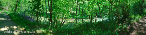 panoramic view of the Sioule river (Puy-de-Dome, Auvergne, France) flowing between the trees in summer © Frederic Hodiesne