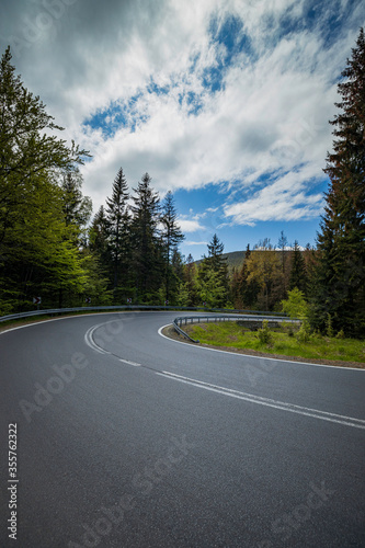 winding mountain road in a green forest