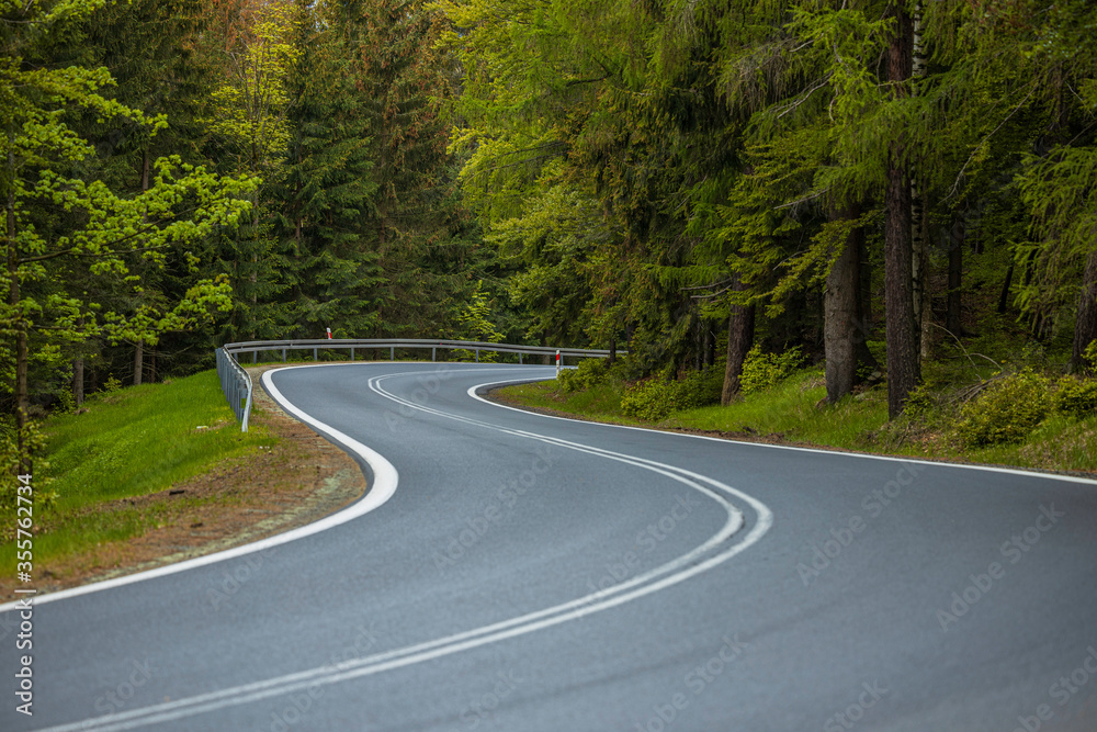 winding mountain road in a green forest