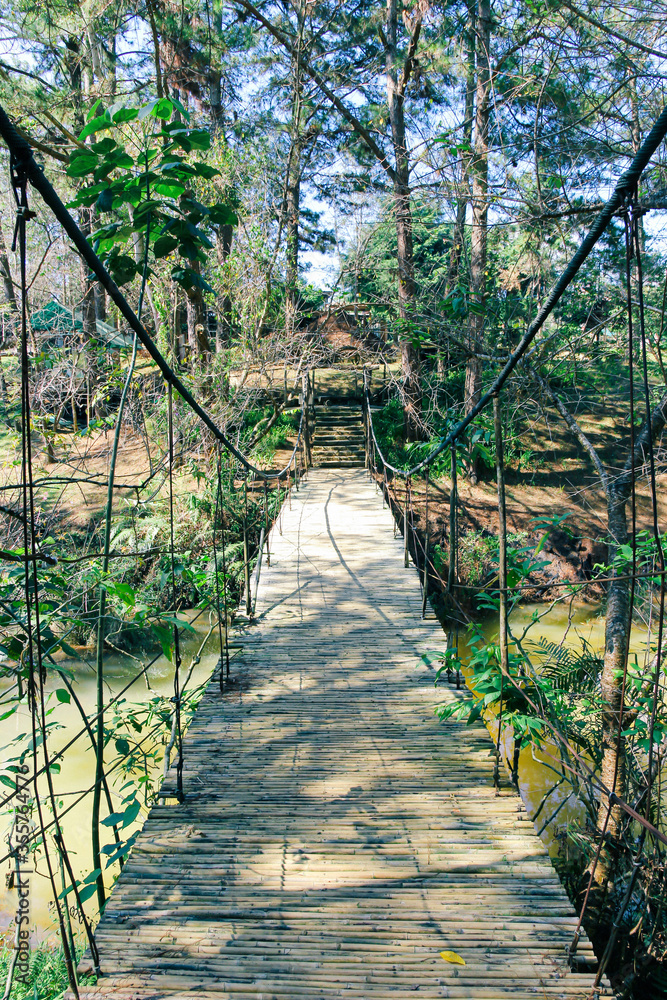 Wooden bridge in the forest, Vietnam Wooden bridge in the forest, Vietnam