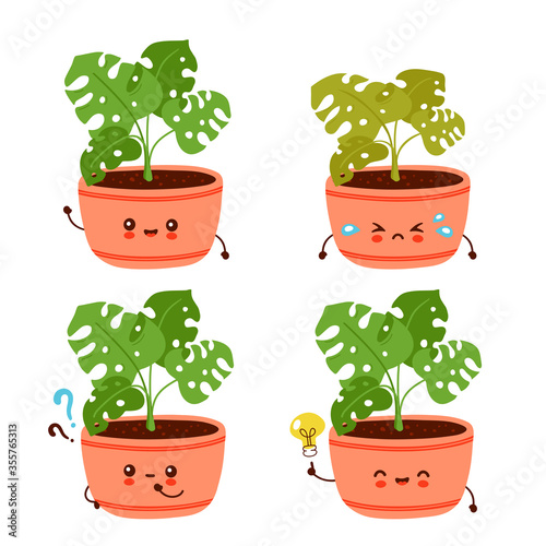Cute happy funny monstera plant in pot collection