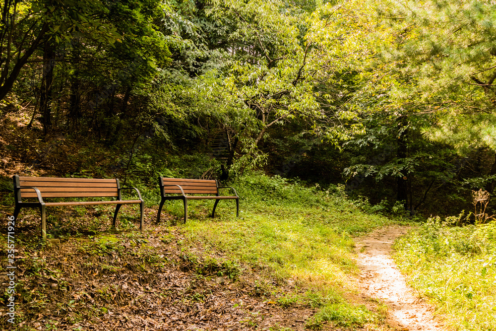 Two park benches under tress Two park benches under tress