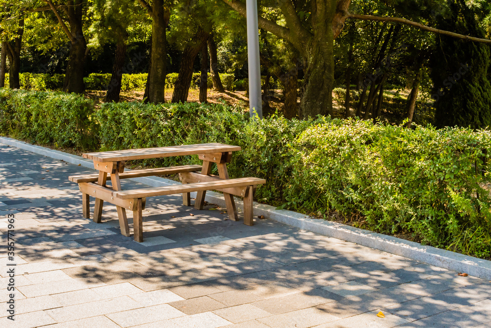 Obraz premium Wooden picnic table in park next to hedges