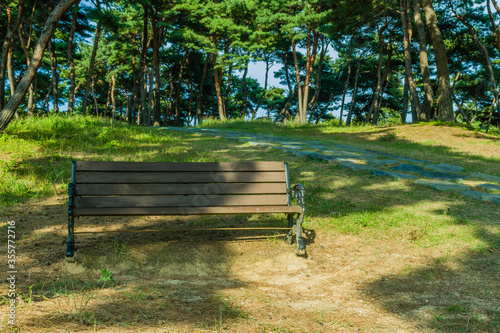 Wooden park bench in shade © aminkorea