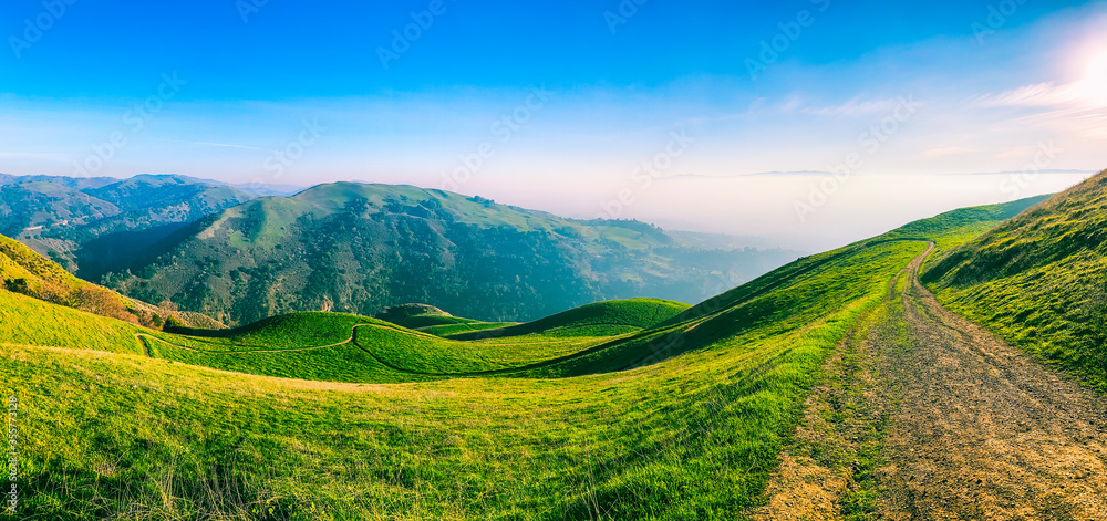 Obraz premium Panoramic view of picturesque green hills, meadows and hiking trails in sunlight. Mountain landscape of California, Alum Rock Park, USA.