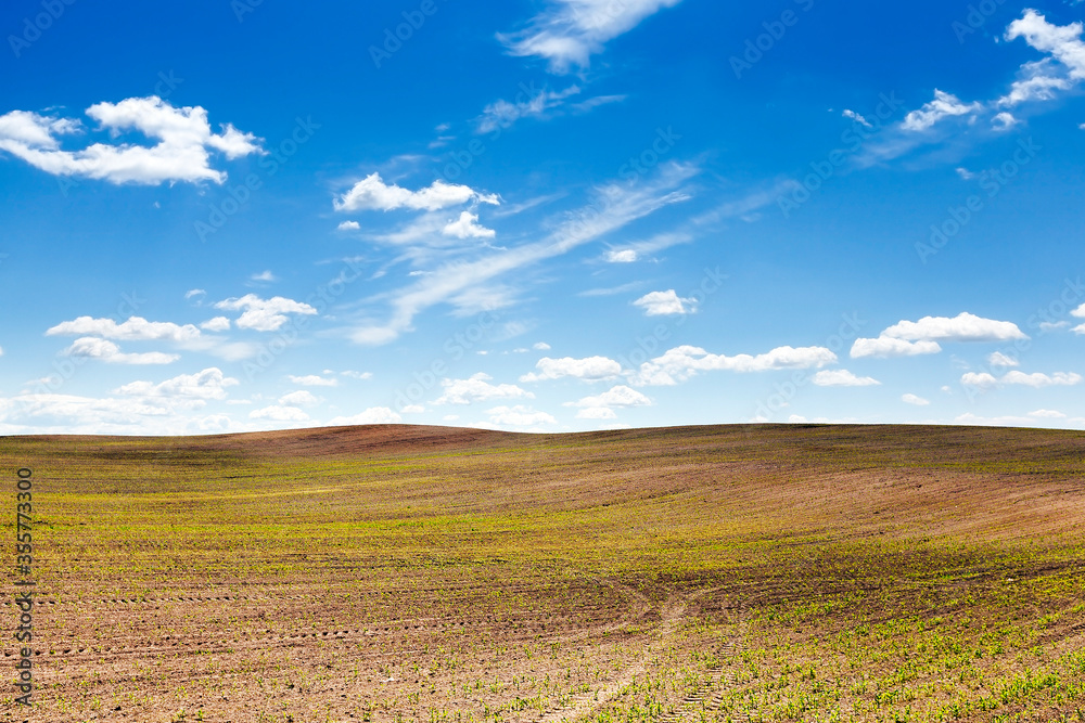 agricultural field