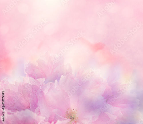 Foto Floral background with pink flowers