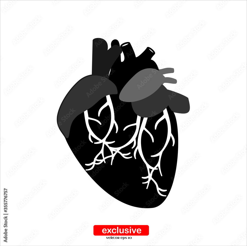 heart organ icon.Flat design style vector illustration for graphic and web design. heart organ icon.Flat design style vector illustration for graphic and web design.