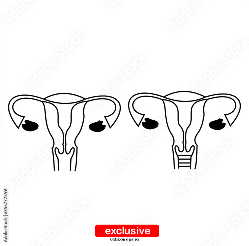 Gynecology icon.Flat design style vector illustration for graphic and web design.
