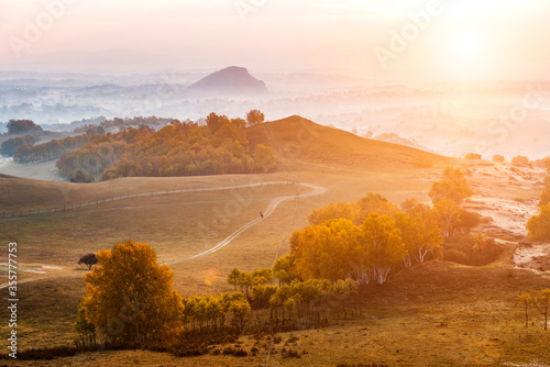 Fotografie Autumn grazing scenery on Bashang Grassland in Wulanbutong