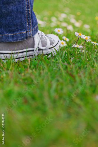 Child boy or girl feet in jeans and sneakers standing on green grass with daisies