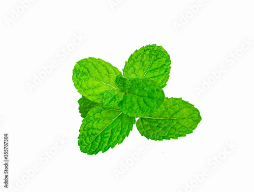 Spearmint or mint leaves isolated on white background. Top view