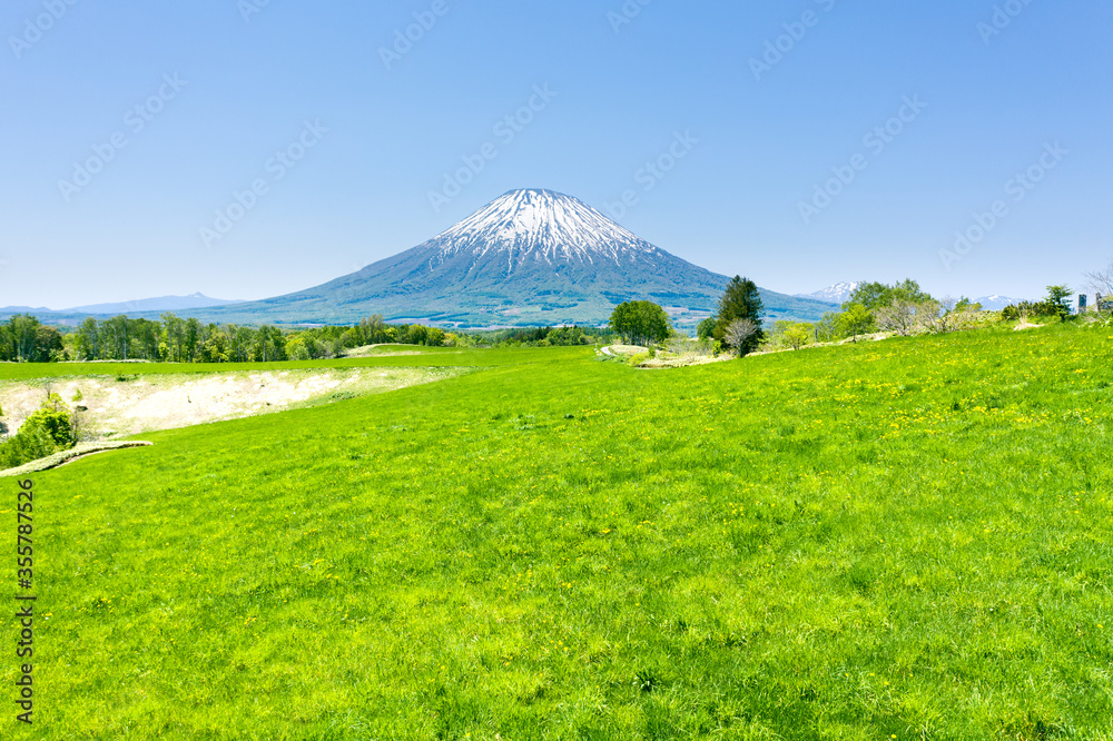 ニセコの広大な風景と羊蹄山 / 北海道の観光イメージ ニセコの広大な風景と羊蹄山 / 北海道の観光イメージ