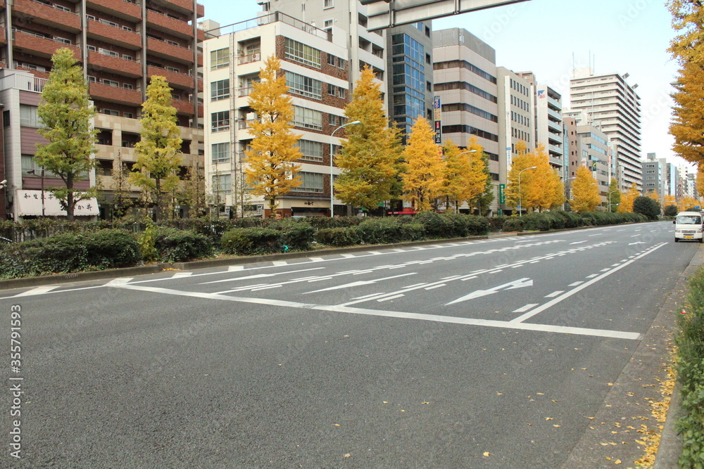 Tokyo street during autumn.