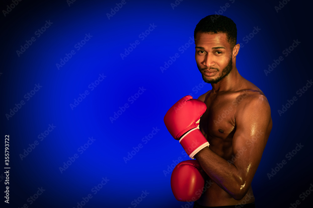 Professional Black Boxer Posing Wearing Gloves On Blue Studio Background