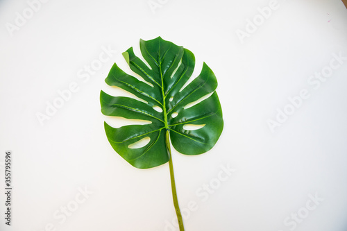 Artificial tropical palm leaves. Floral greenery decoration on a white background.