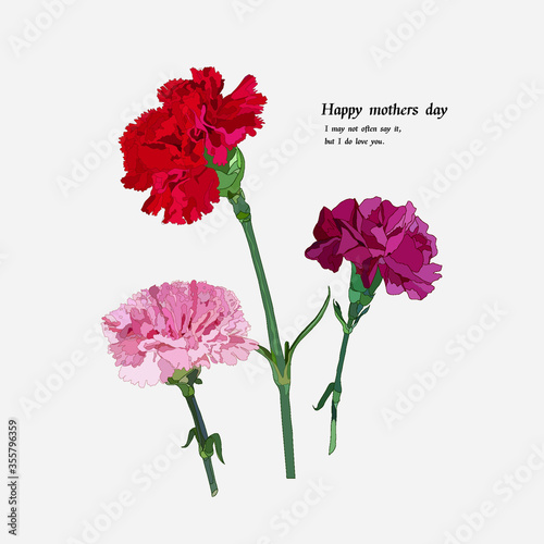 Mothers day flower carnation illustration