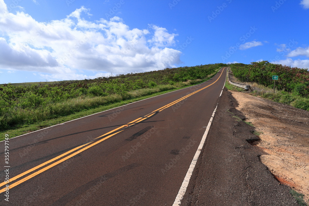 Blue sky and Long road in Hawaii