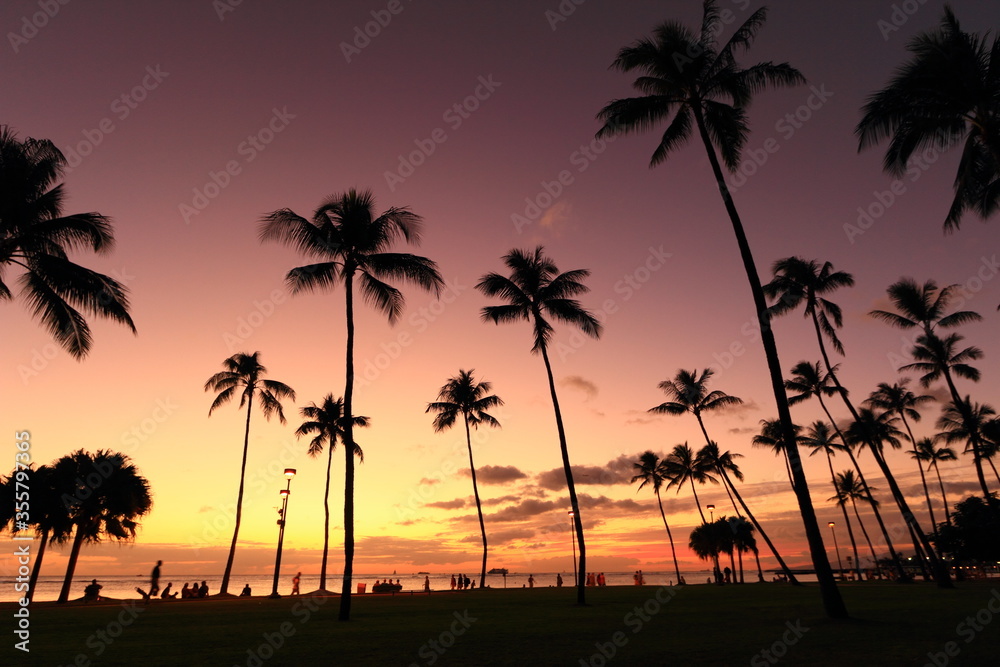 Silhouette and sunset scene in Hawaii