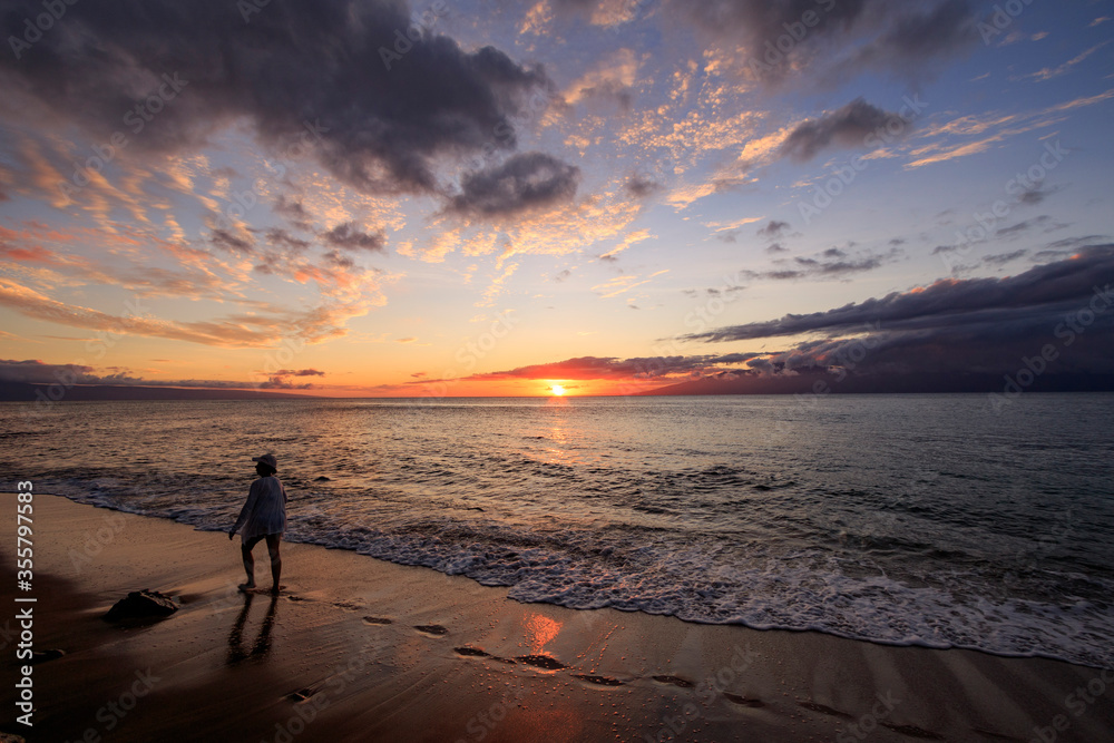 Fototapeta premium Silhouette and sunset scene in Hawaii