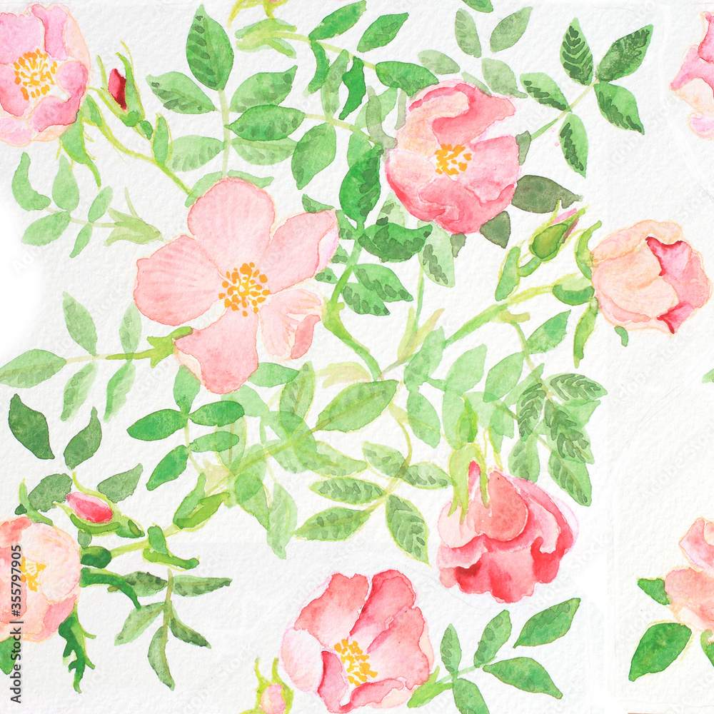 wild rose watercolour seamless pattern