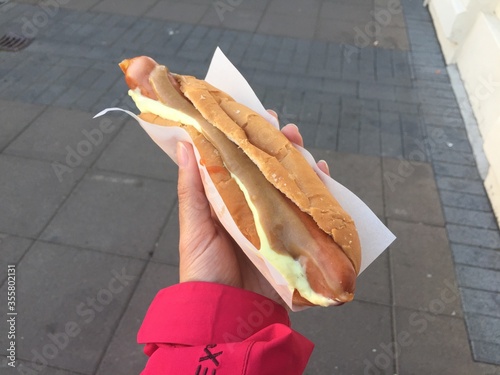 Tourist holding an Iceland famous hotdog
