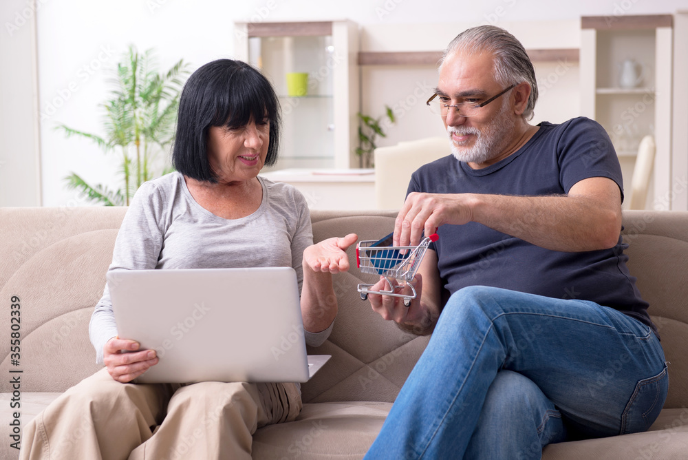 Old couple doing the online shopping Old couple doing the online shopping