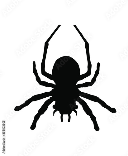 Spider vector silhouette illustration isolated on white background. Black widow tattoo sign.