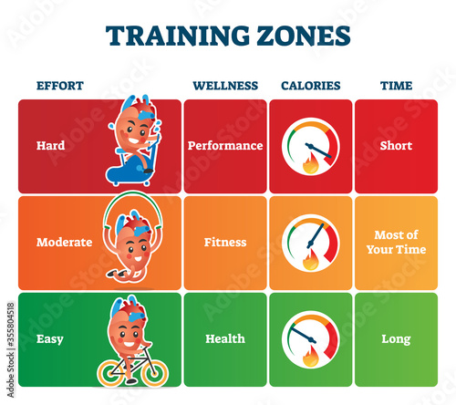 Training zones vector illustration. Labeled healthy sport exercise advice.