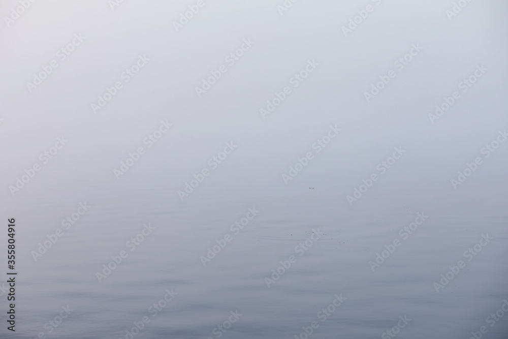 Fog in the lake. Morning nature water white fog. Fog in the lake. Morning nature water white fog.