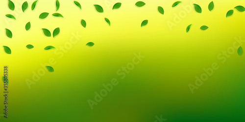 Falling green leaves. Fresh tea random leaves flyi