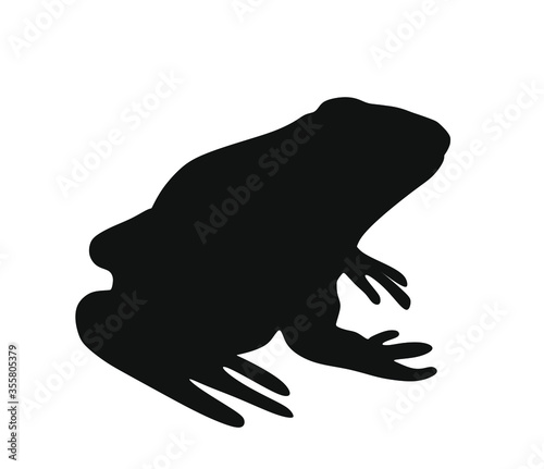 Frog vector silhouette illustration isolated on white background. Animal symbol, zoology of amphibian. 