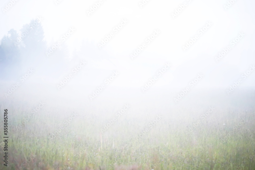 Fog in the field. Evening nature summer with white fog. Fog in the field. Evening nature summer with white fog.