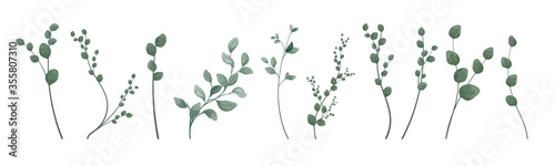 Art watercolor natural branches leaves elements. Vector illustration 