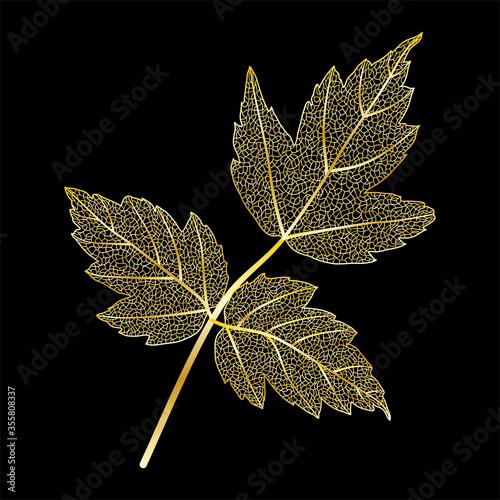 Golden leaf vein isolated on black.Vector illustration