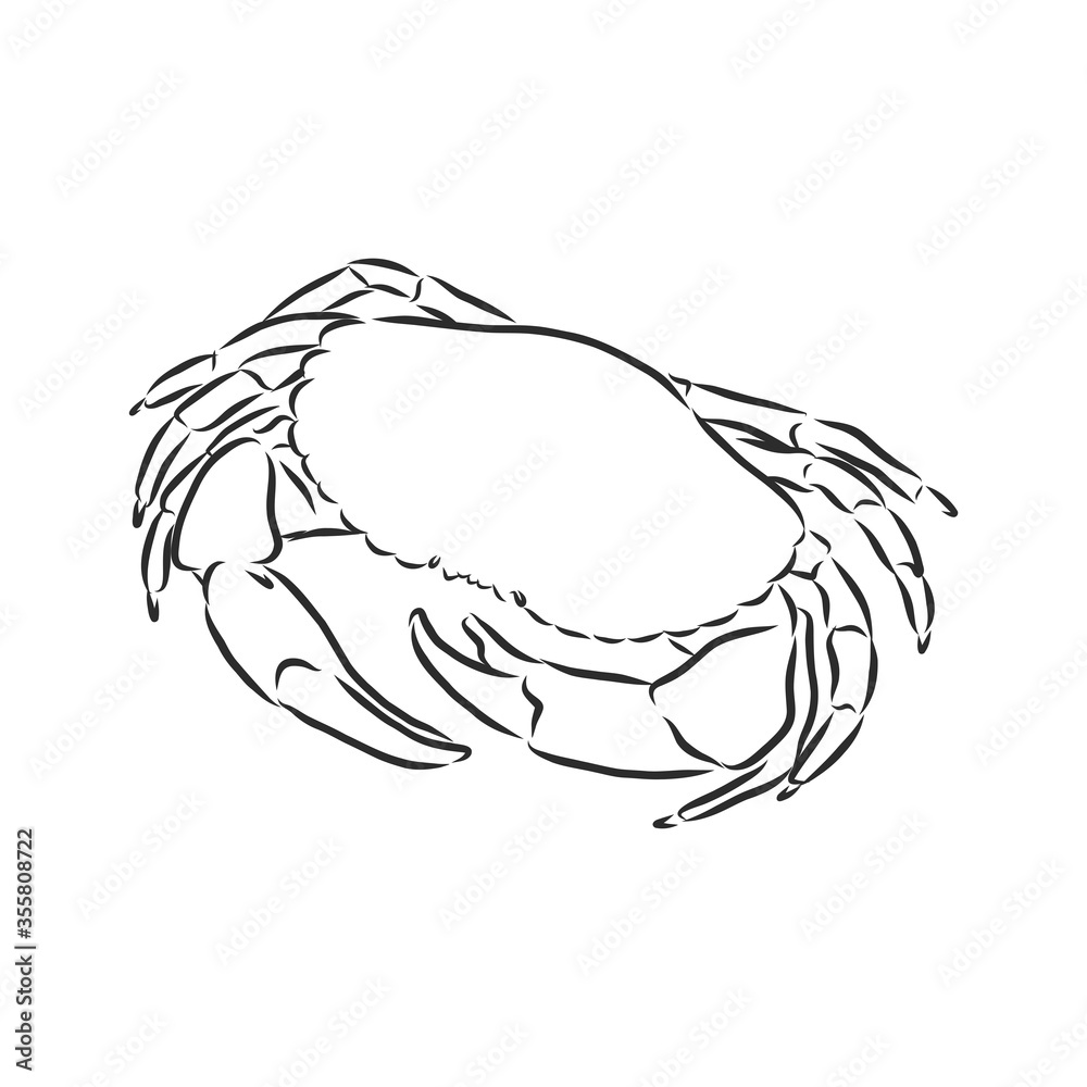 Sea blue striped illustration with crab, crab, vector sketch illustration Sea blue striped illustration with crab, crab, vector sketch illustration
