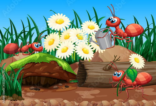 Scene with plants and insects in the garden
