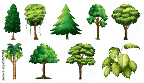 Set of variety plants and trees