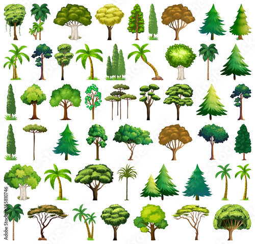 Set of variety plants and trees