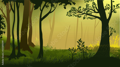 Vector illustration of a beautiful forest landscape. Nature background. Tree silhouettes  grass  land  mist  soft light. Trunks  branches  leaves.